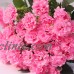 36Head Artificial Flower Carnations Fake Flower Party Wedding Bouquet Home Decor   113201559892